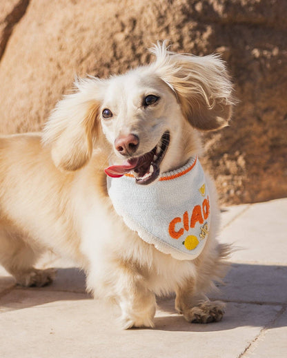 CIAO! Dog Bandana