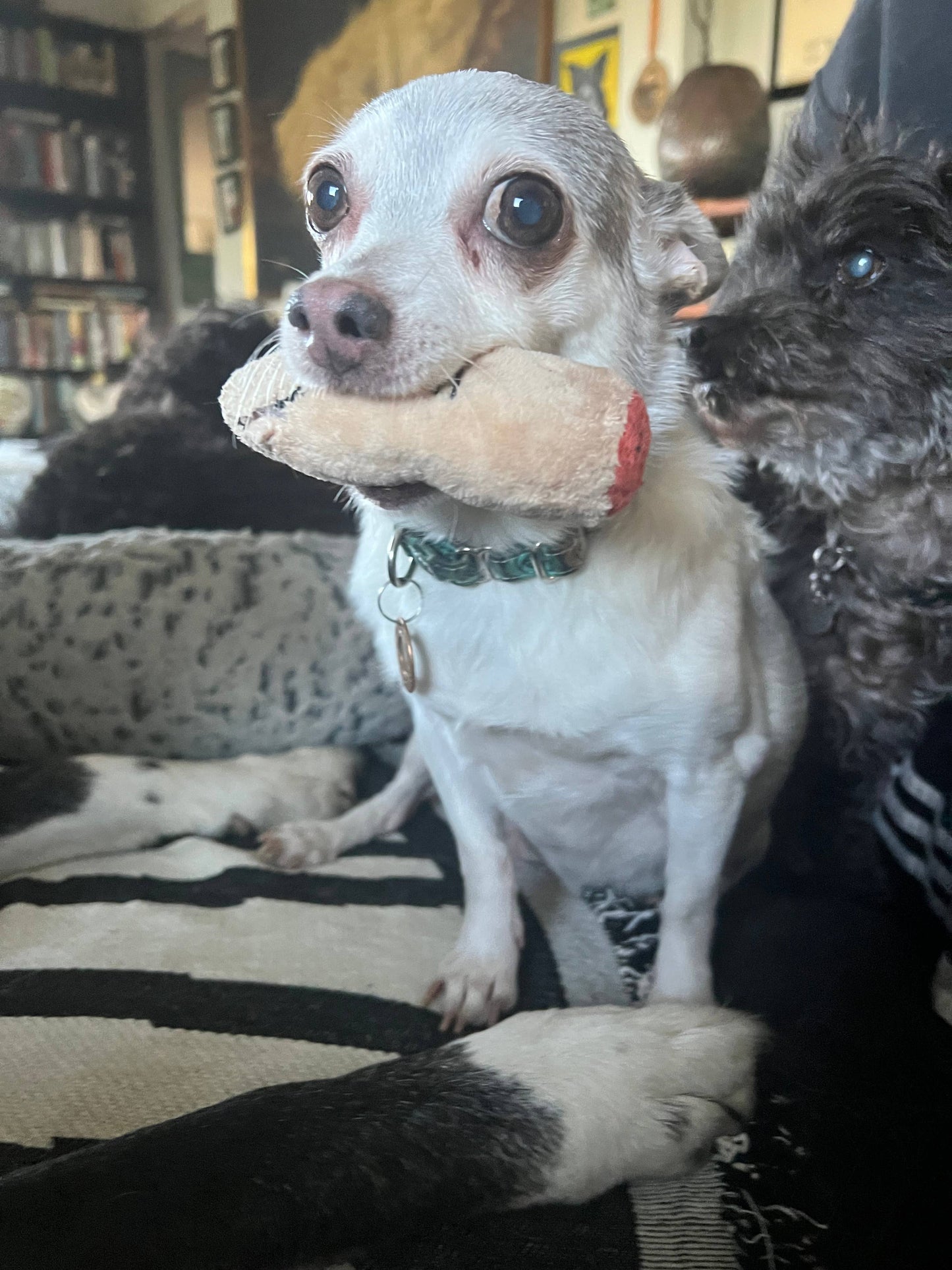 Bite my Finger Toy
