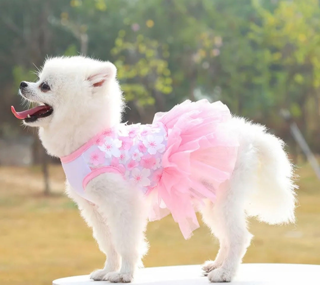 Flower Tutu Dog Dress