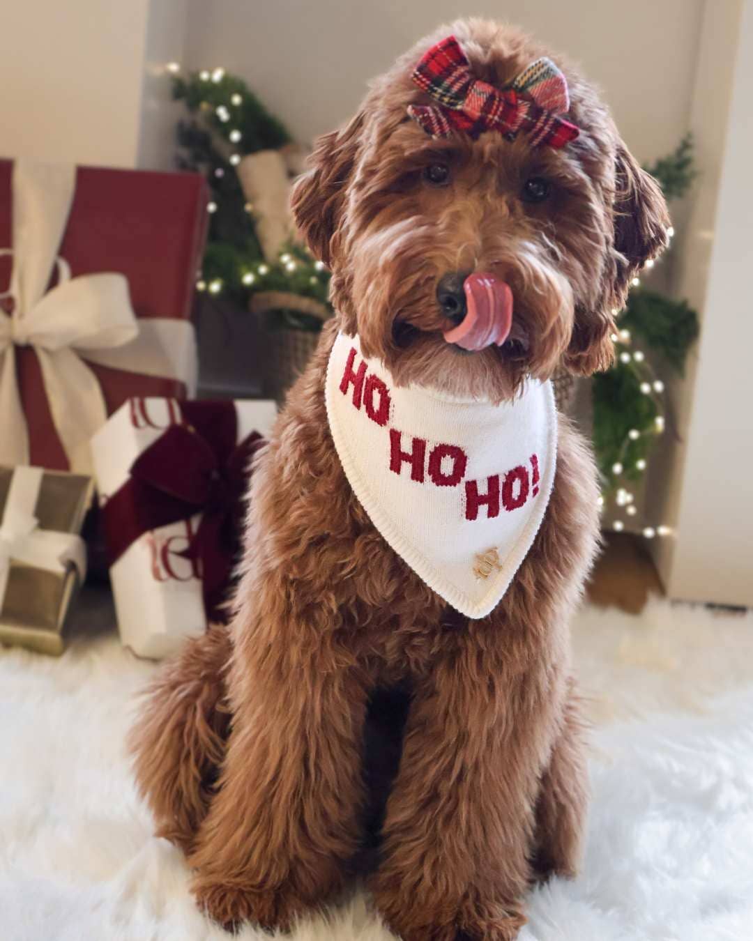 Christmas Dog Bandana - Ho Ho Ho