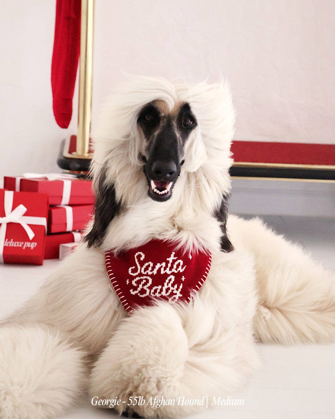 Santa Baby Dog Bandana