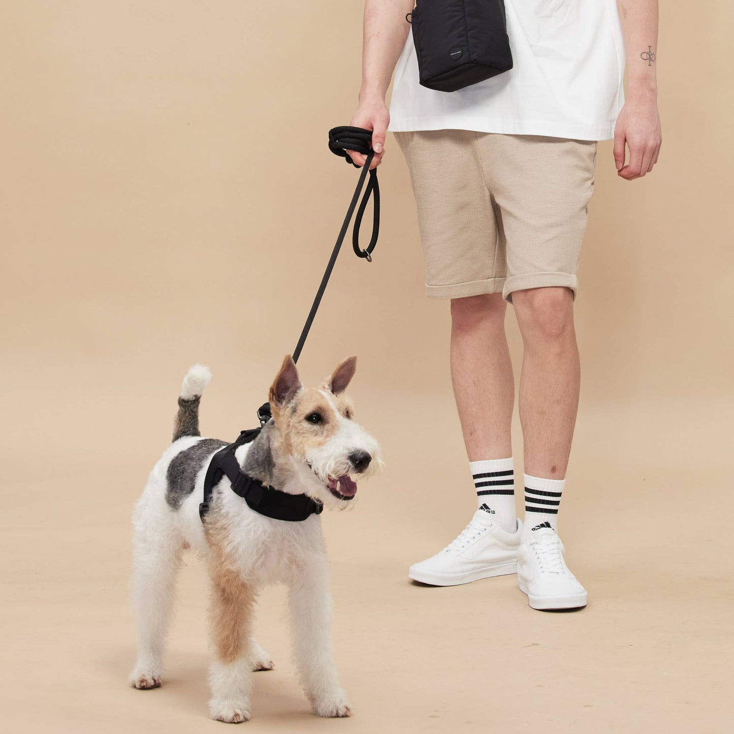 Rover Dog Harness