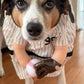 The Home Ruff Halloween Dog Costume