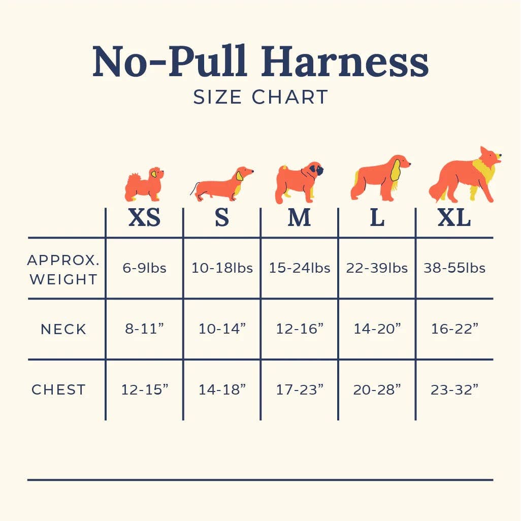 Far Out No-Pull Harness
