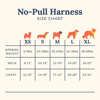 Far Out No-Pull Harness
