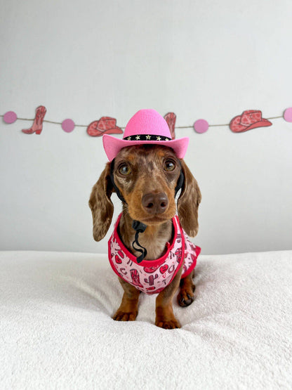 The Giddy up Pup Cooling Shirt