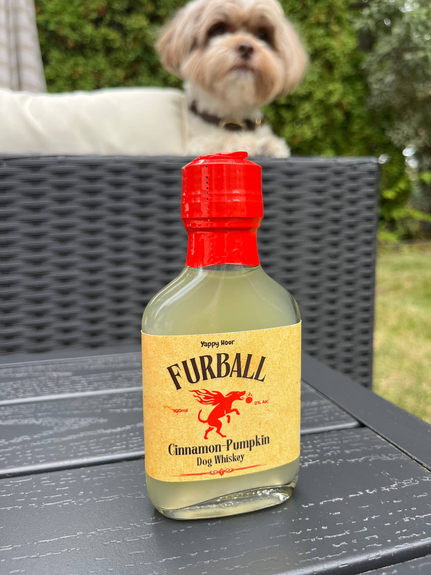 Furball Dog Whiskey Minis 100ml - Pumpkin-Cinnamon