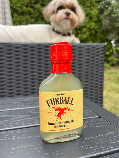 Furball Dog Whiskey Minis 100ml - Pumpkin-Cinnamon