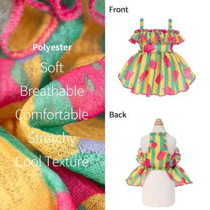 Bohemian Strawberry Ice Pop Dog Dress