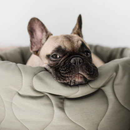 Cama para perros Taart - Colores variados