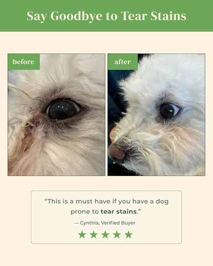 Brush On Me Pet Facial & Eye Comb