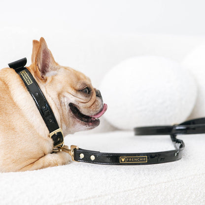 Frenchie Vegan Leather Collar, Leash, & Bow Tie Set