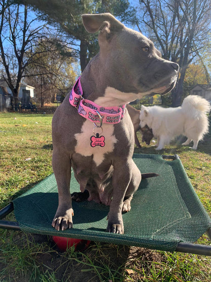 Pitty-potamus Dog Collar - Pink