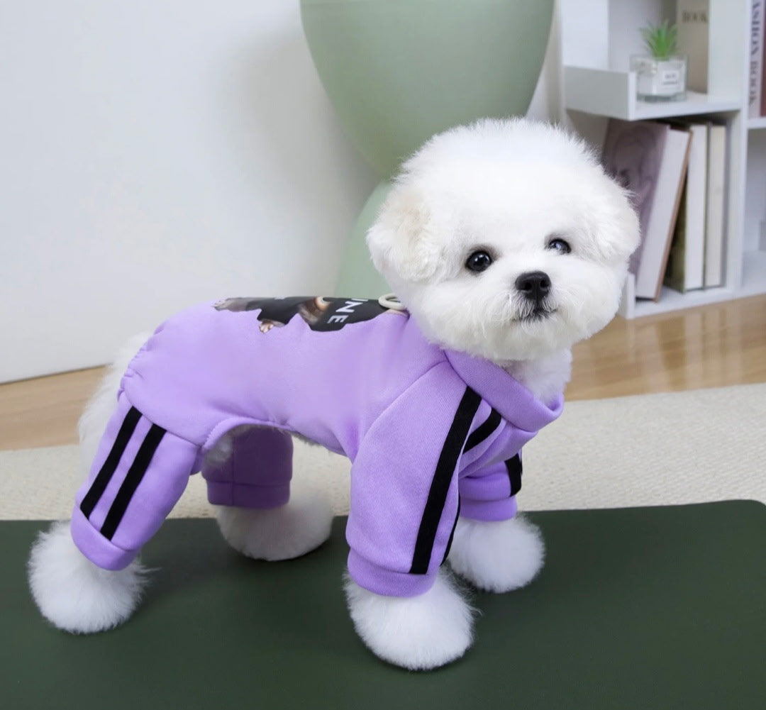 Labubu Dog Tracksuit