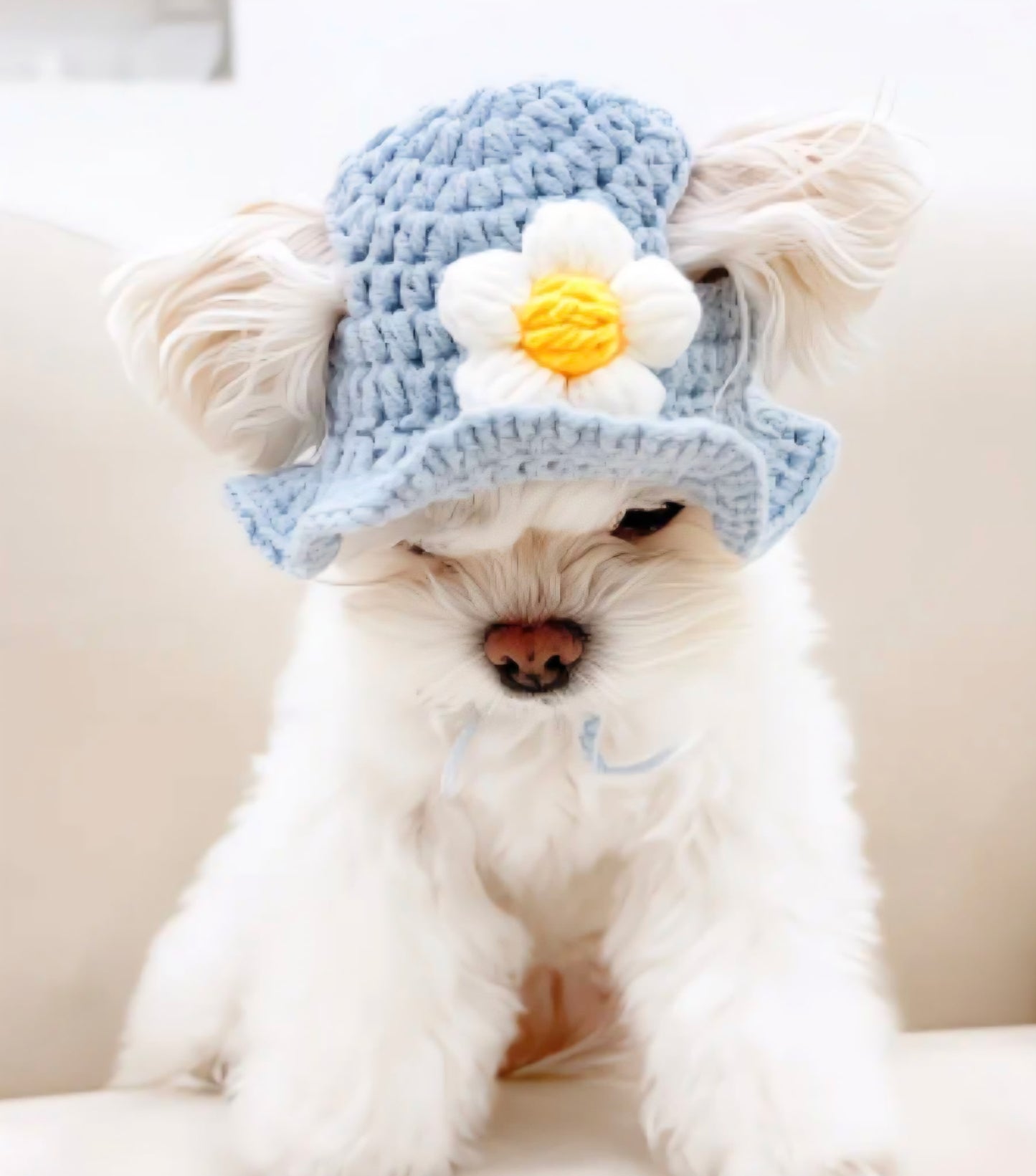 Knit Flower Dog Hat
