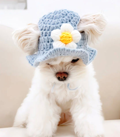 Knit Flower Dog Hat