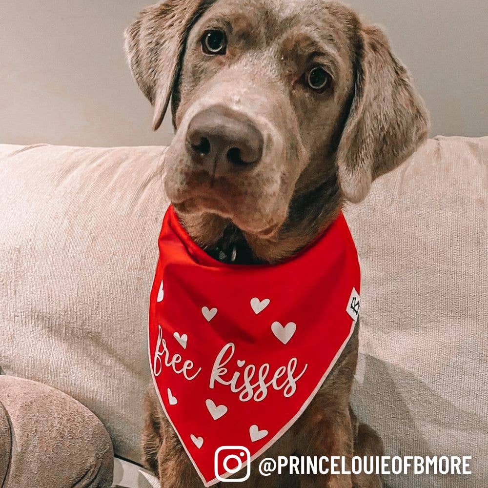 "Free Kisses" Valentine's Day Dog Bandana