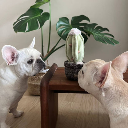 Juguete para perros con forma de cactus