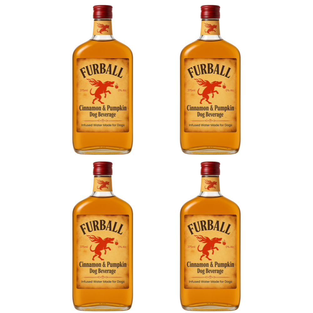 Furball Dog Whiskey Minis 100ml - Pumpkin-Cinnamon