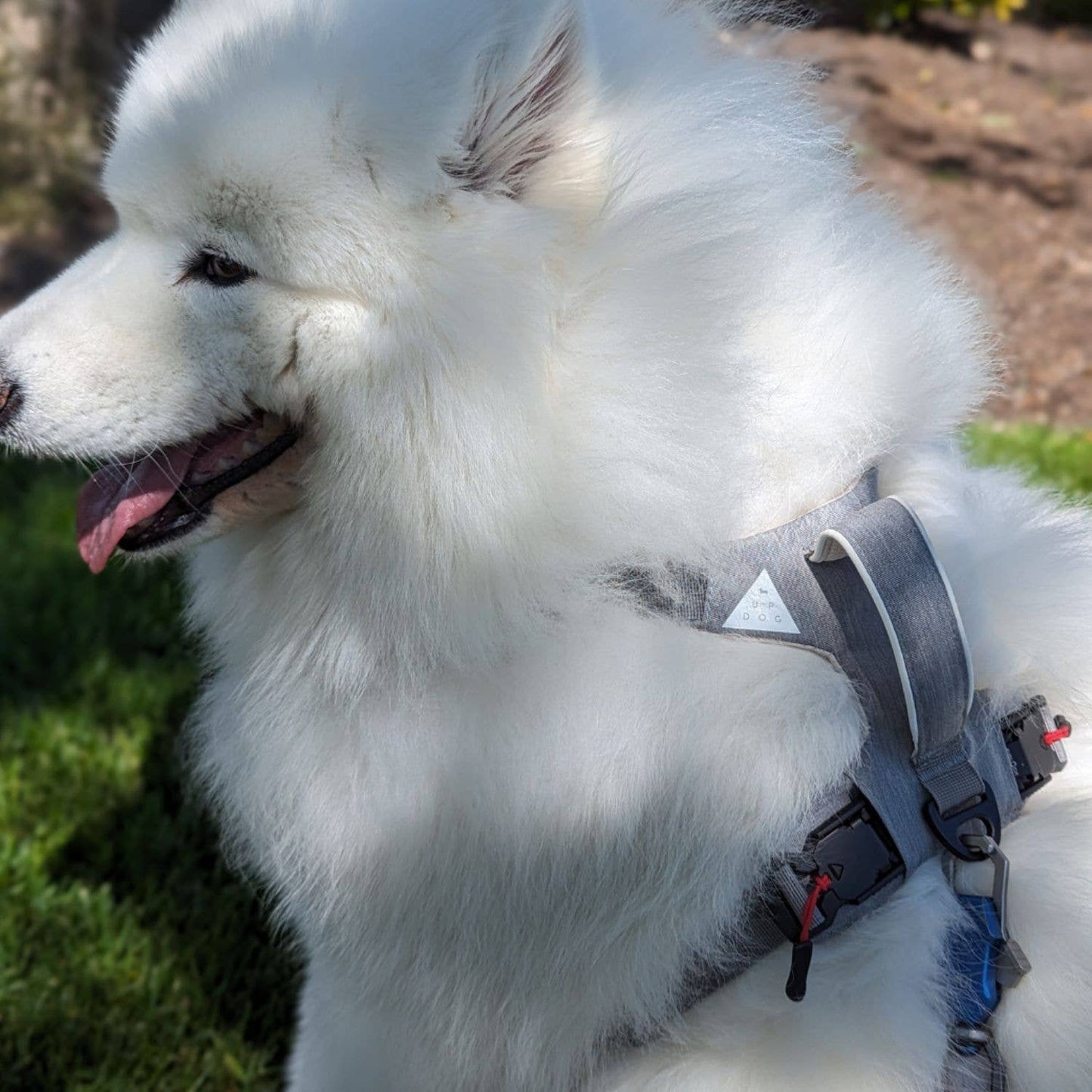Magnetic Dog Harness with Handle – Magnetic Buckles, No-Pull