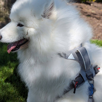 Magnetic Dog Harness with Handle – Magnetic Buckles, No-Pull