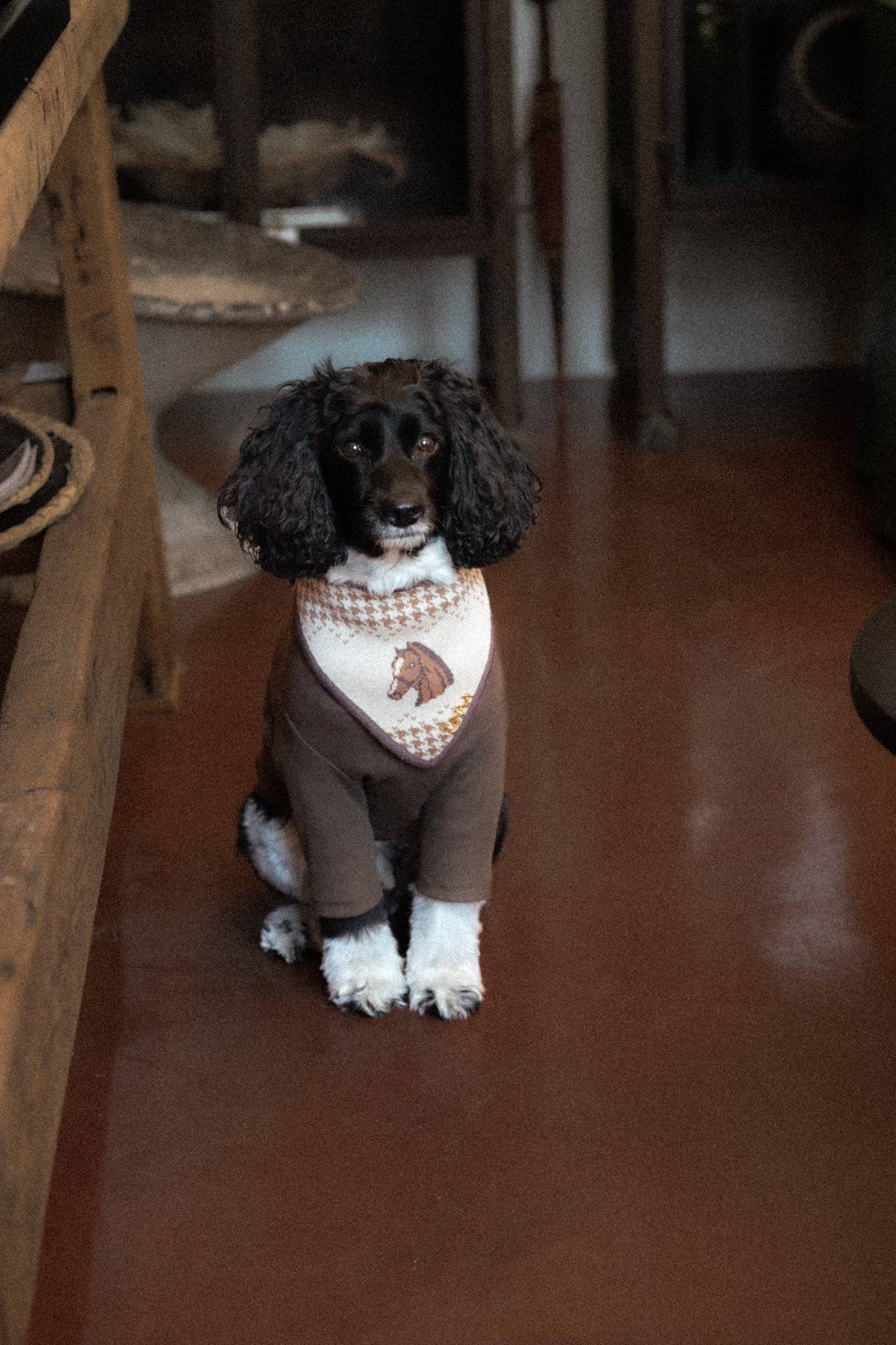 Sterling Equestrian Knit Bandana