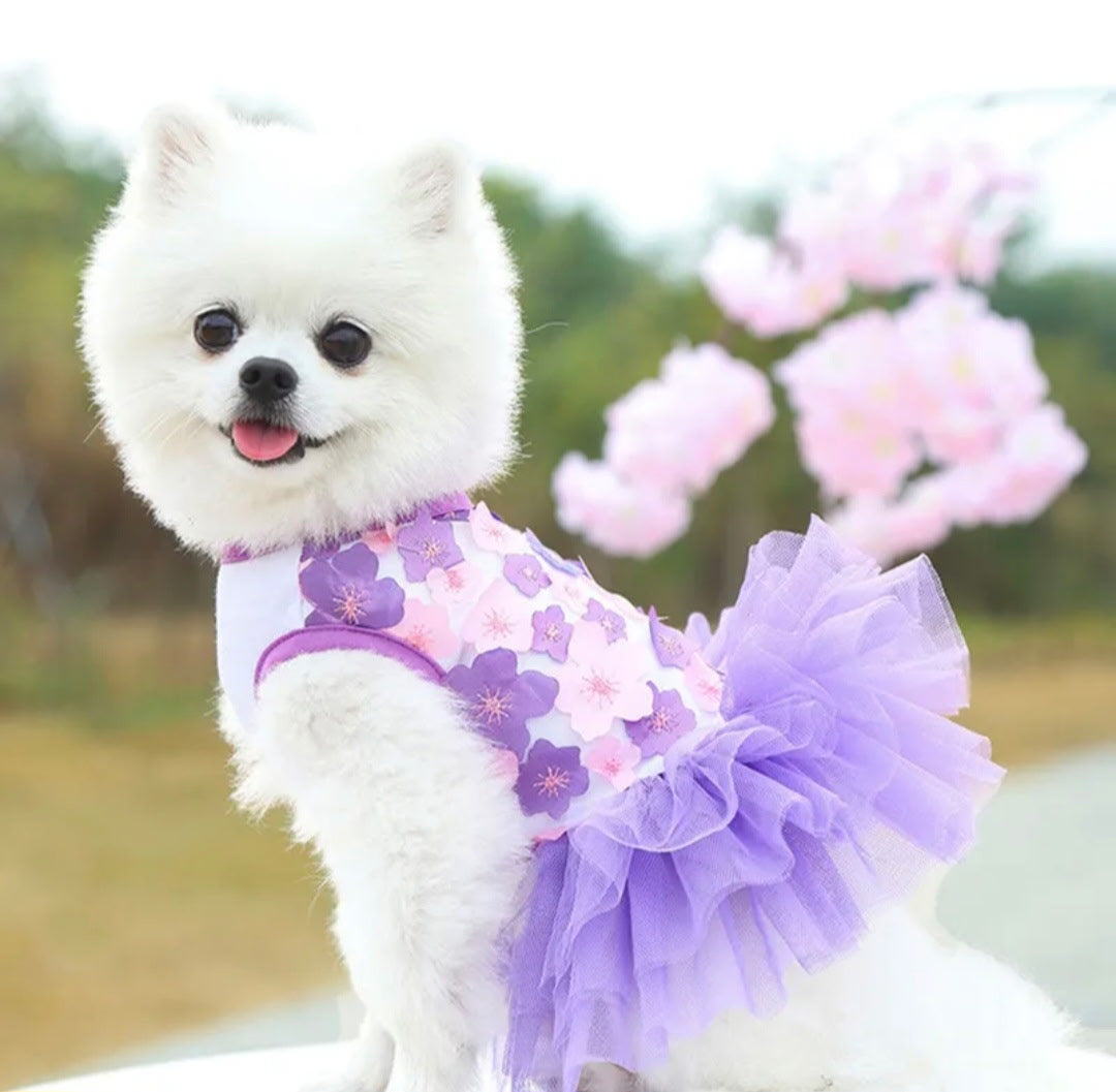 Flower Tutu Dog Dress