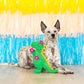 Thorny But Cute Rex Plush Dog Toy