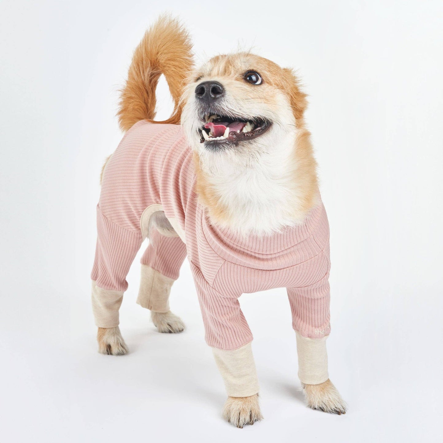 High-neck Blush Dog Onesie