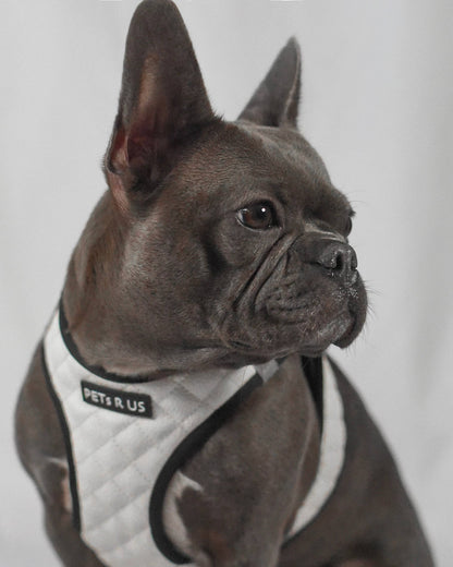 Step-In Dog Harness, Quilted Vegan Leather, White