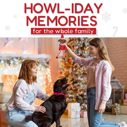 Juguete navideño para perros con sonido y textura crujiente Pooch On A Perch