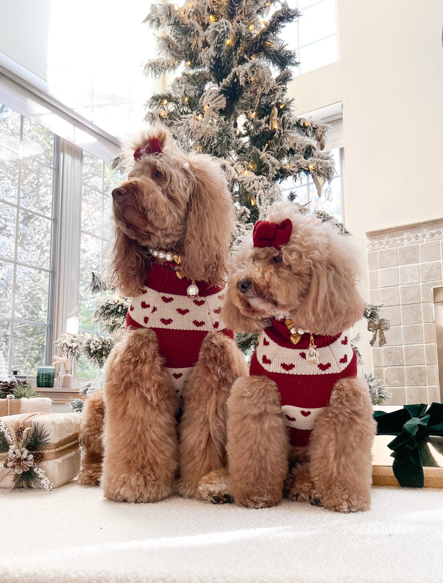 Sleigh Dog Sweater