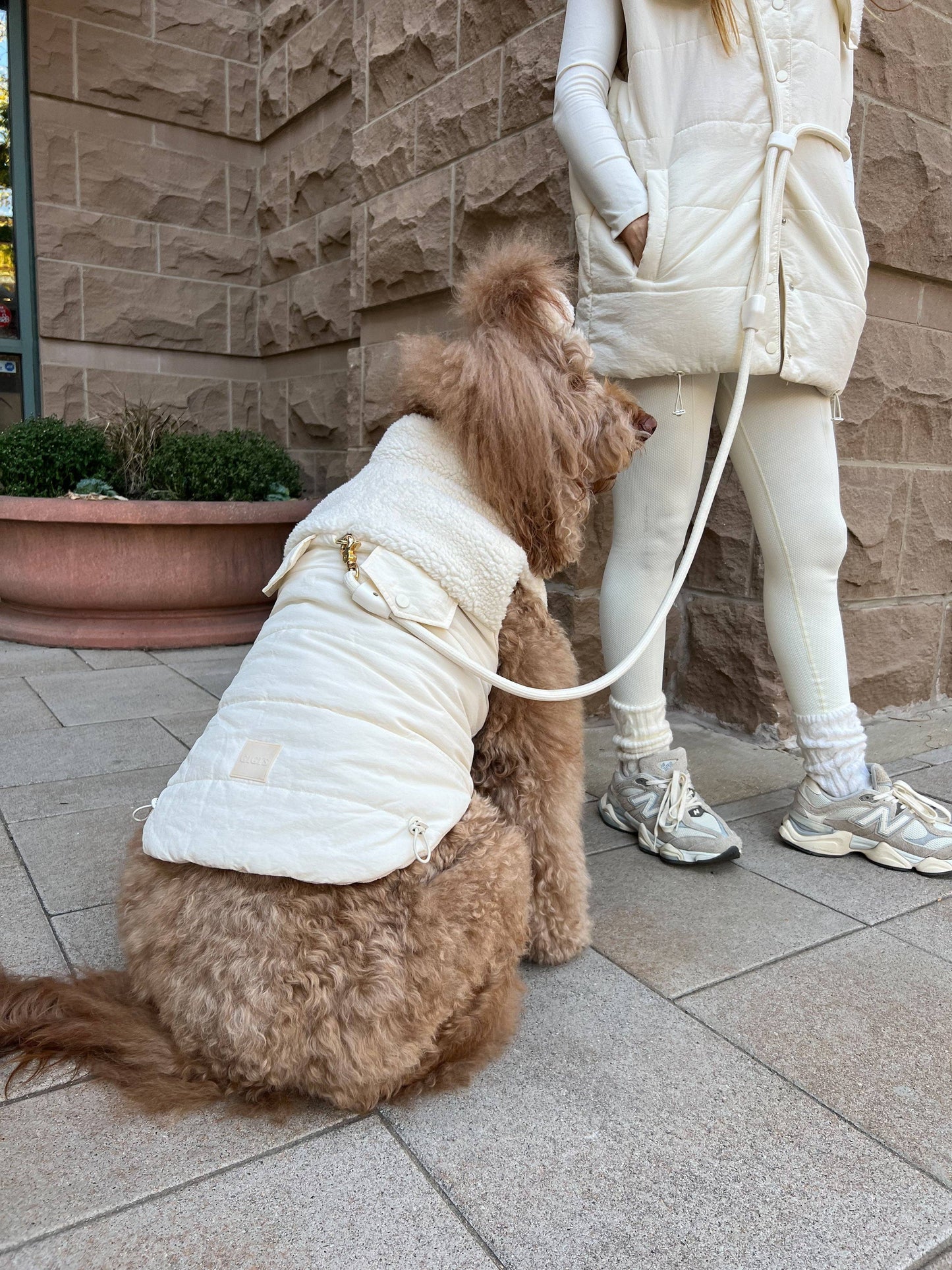 Comfort Hands-Free Leash -Creamy Cloud