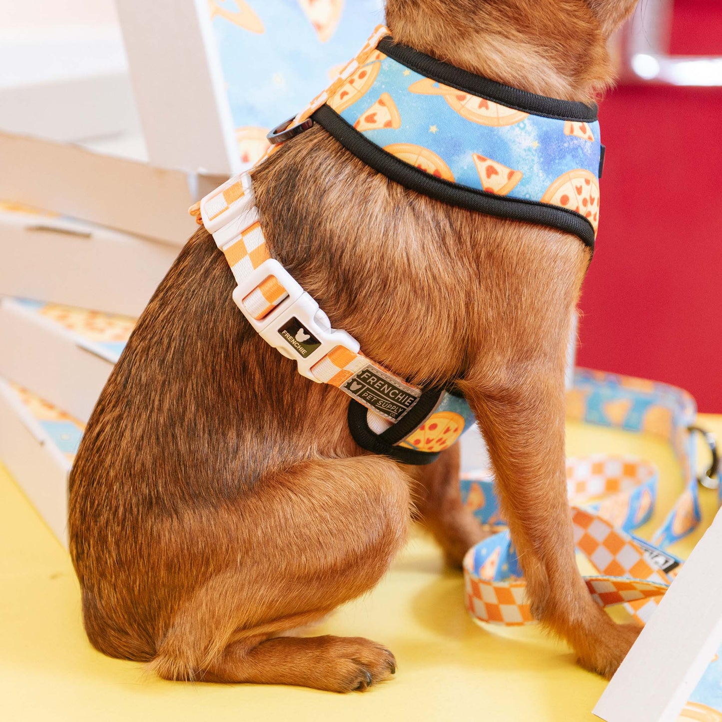 Frenchie Duo Reversible Harness - Galaxy Pizza