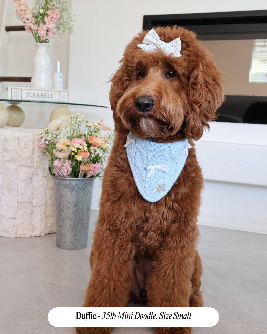 Spring Baby Blue Dog Bandana