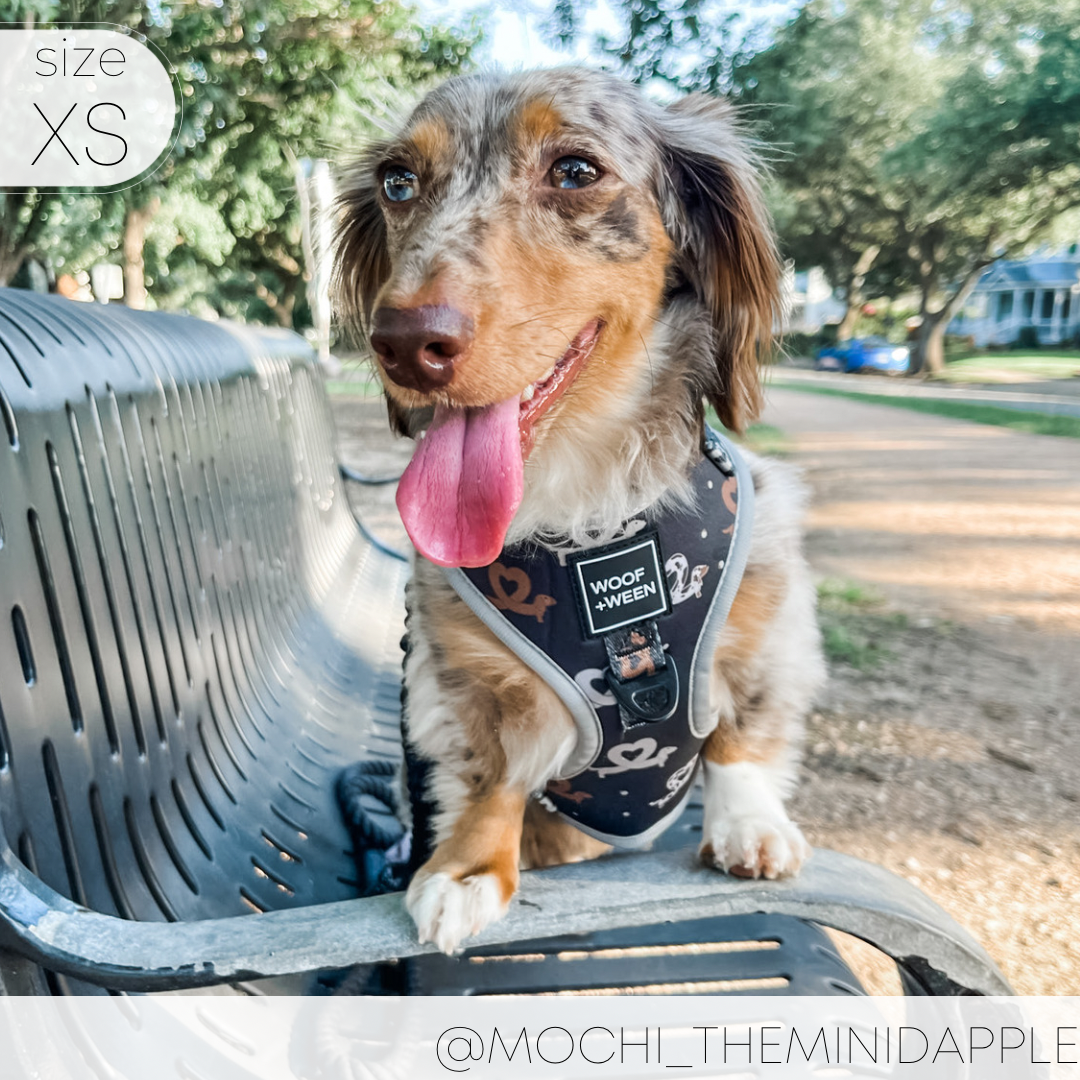 I Heart Dachshunds Adjustable Dog Harness