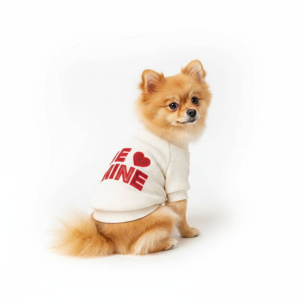 Be Mine Dog Sweater