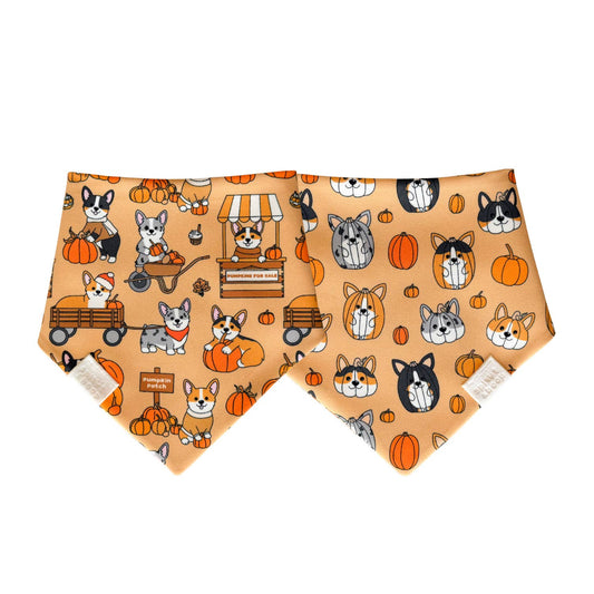 Pumpkin Patch Fall Corgis Dog Bandana