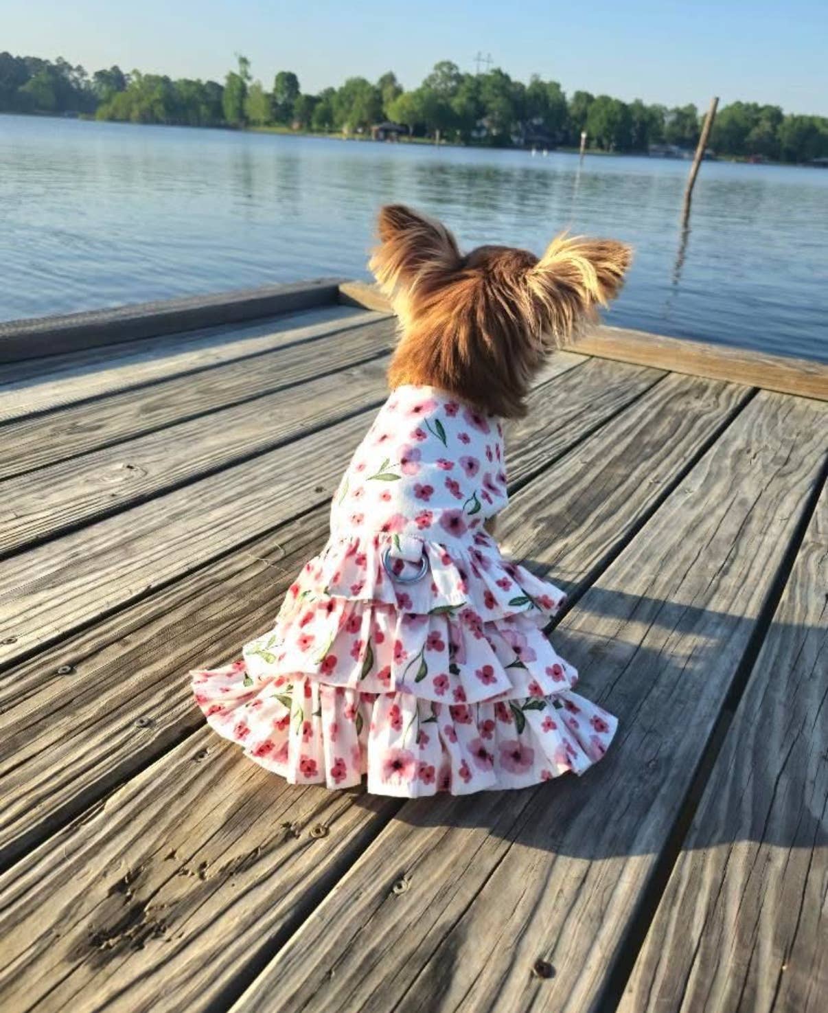 Spring Wildflower Dog Dress with Matching Leash