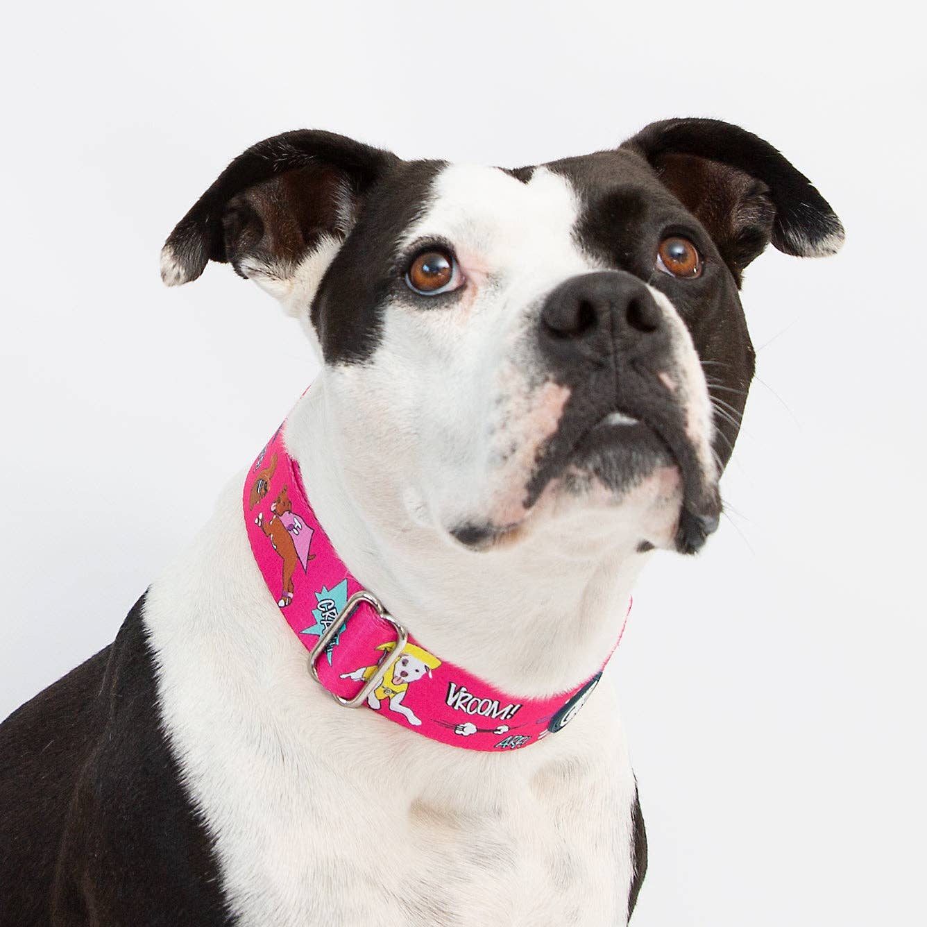 Super Pibble Dog Collar - Pink