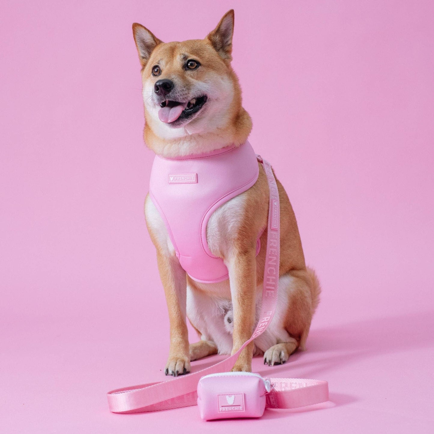 Frenchie Duo Reversible Harness - Pink Bubblegum