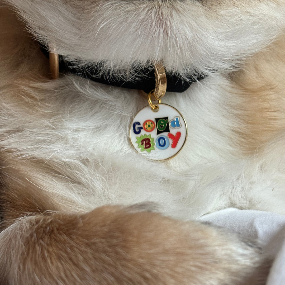 Good Boy Dog Collar Charm