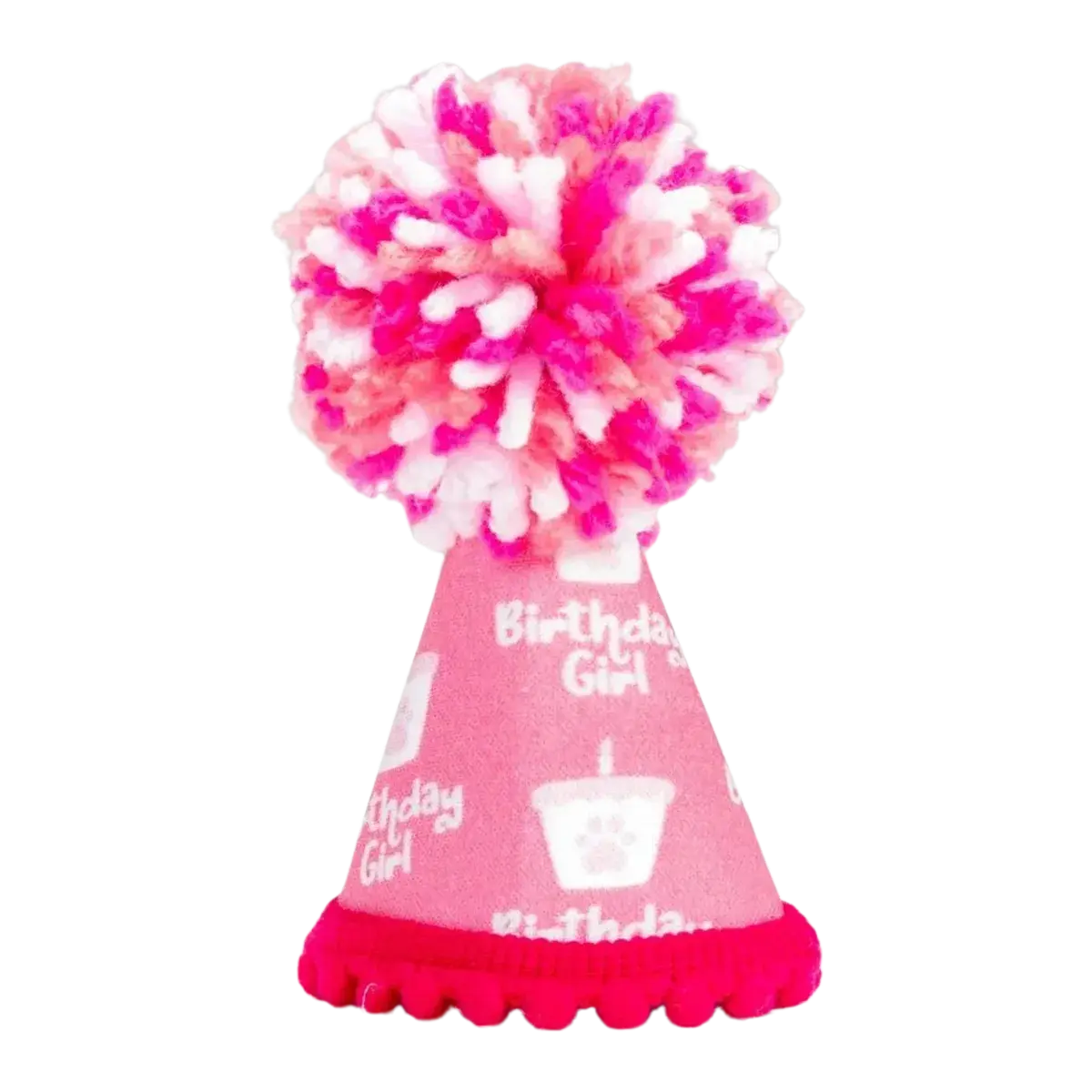 Birthday Girl Pink Pom Party Hat