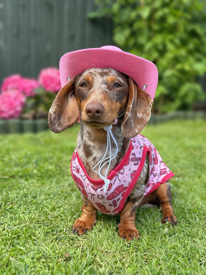 The Giddy up Pup Cooling Shirt