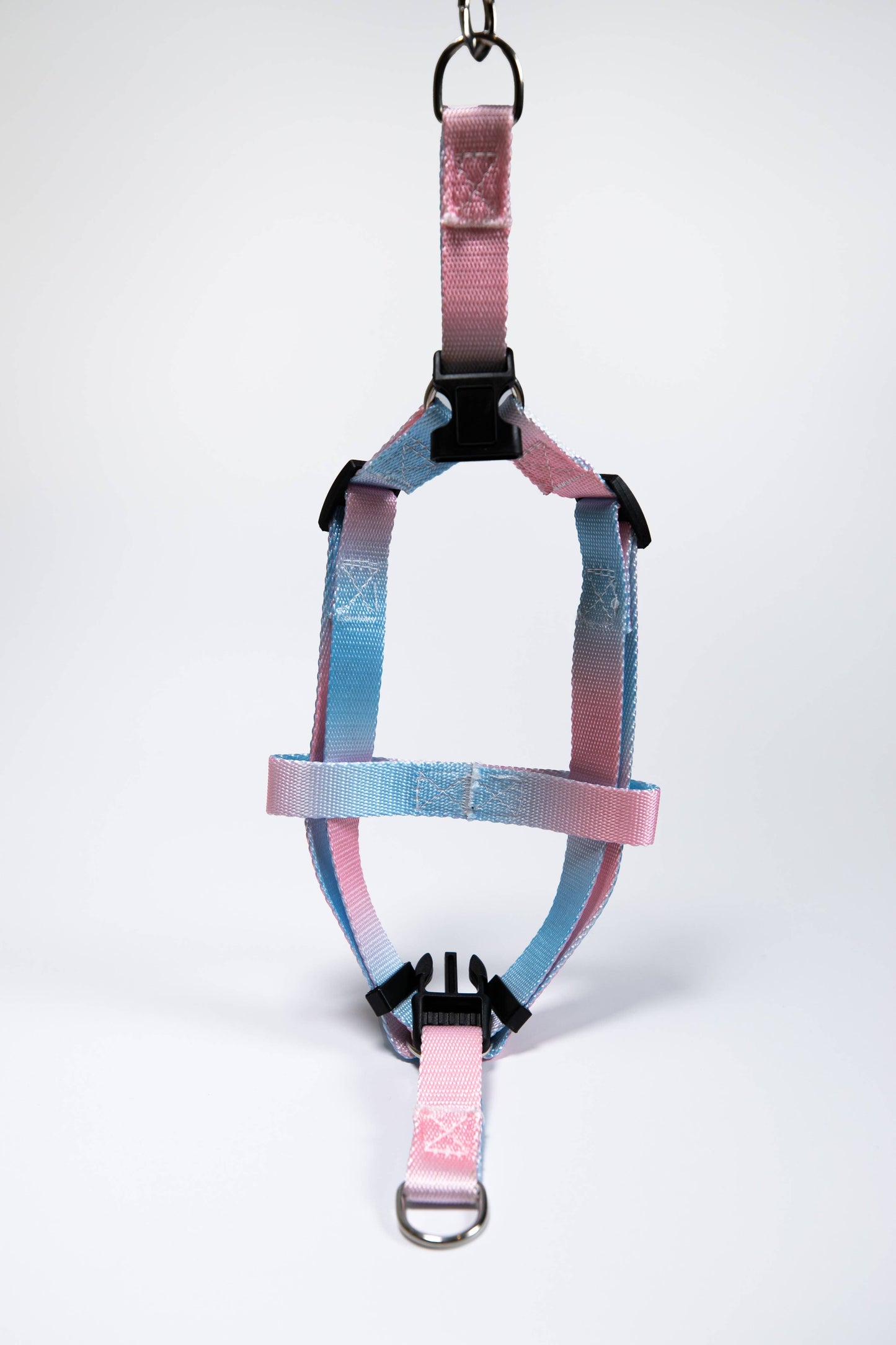 Gradient Pink/Blue Walk Kit Leash and Harness