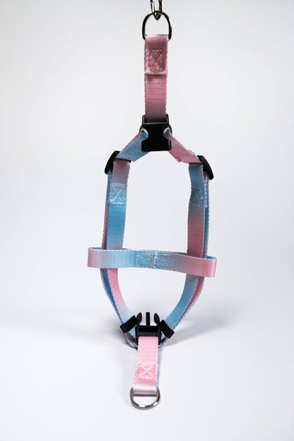 Gradient Pink/Blue Walk Kit Leash and Harness