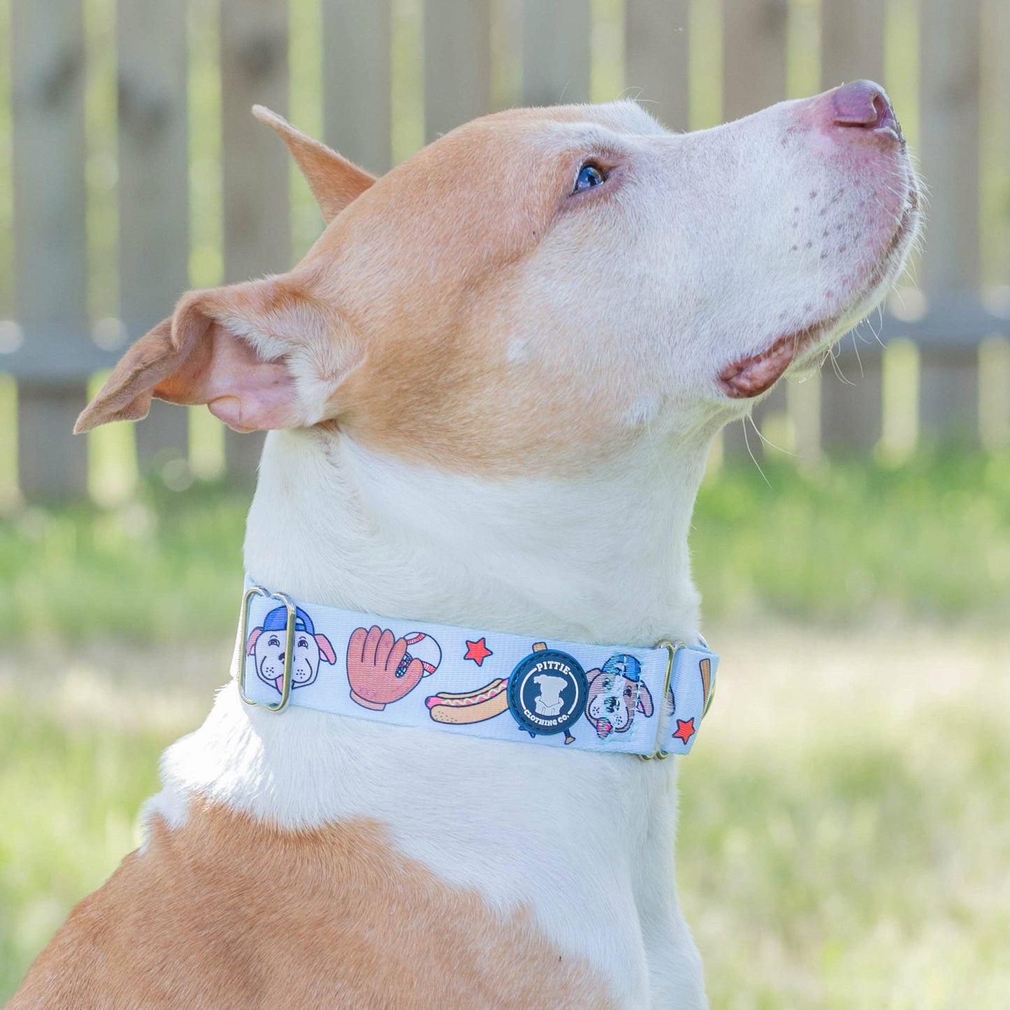 Pittch Perfect Collar