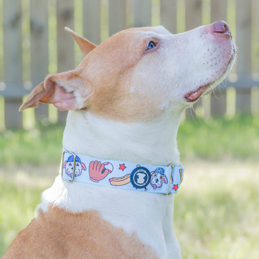 Pittch Perfect Collar