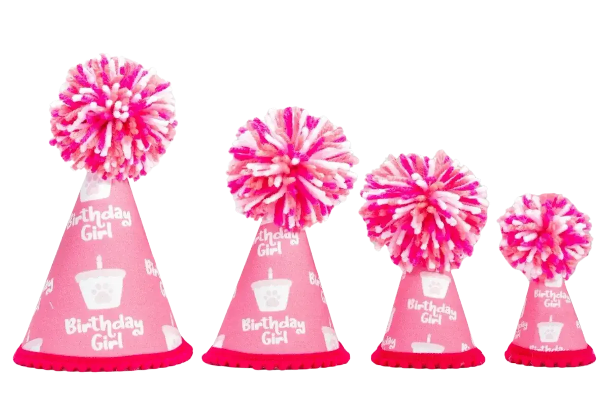 Birthday Girl Pink Pom Party Hat