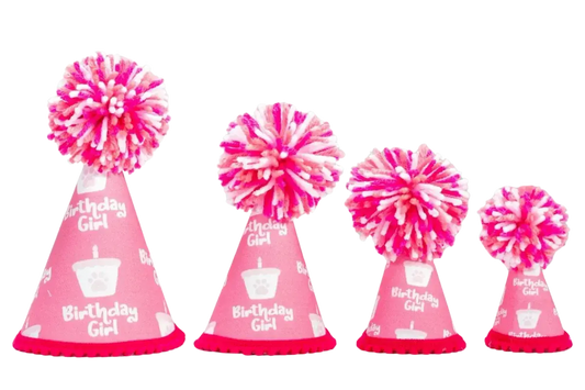 Birthday Girl Pink Pom Party Hat